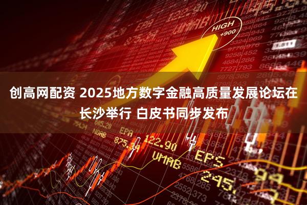 创高网配资 2025地方数字金融高质量发展论坛在长沙举行 白皮书同步发布