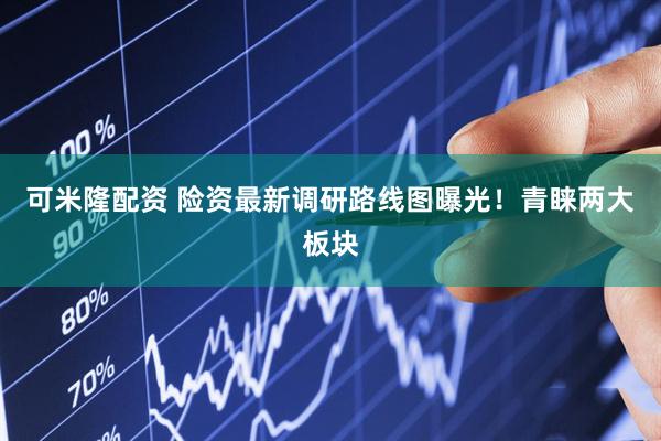 可米隆配资 险资最新调研路线图曝光！青睐两大板块