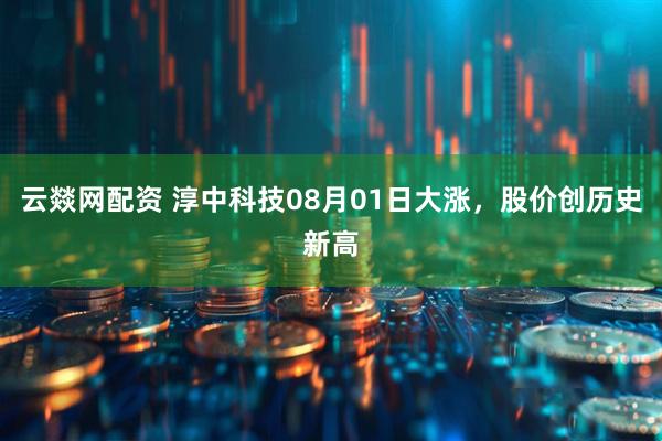 云燚网配资 淳中科技08月01日大涨，股价创历史新高