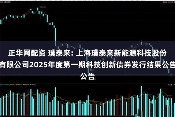 正华网配资 璞泰来: 上海璞泰来新能源科技股份有限公司2025年度第一期科技创新债券发行结果公告